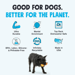 West Paw Qwizl dispensing treats during play for reward-based enrichment.