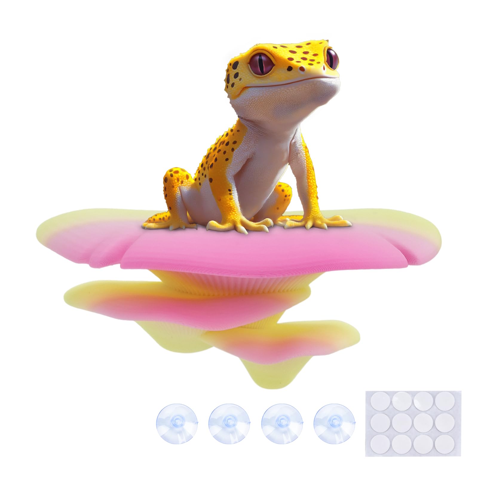 Westant gecko climbing mushroom setup for natural behaviors