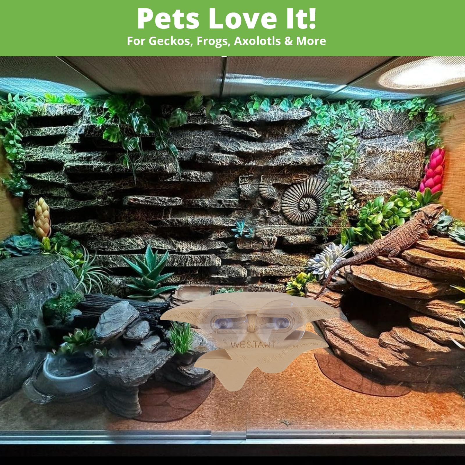 Westant mushroom decor gecko habitat idea emphasizes climbing friendly decor