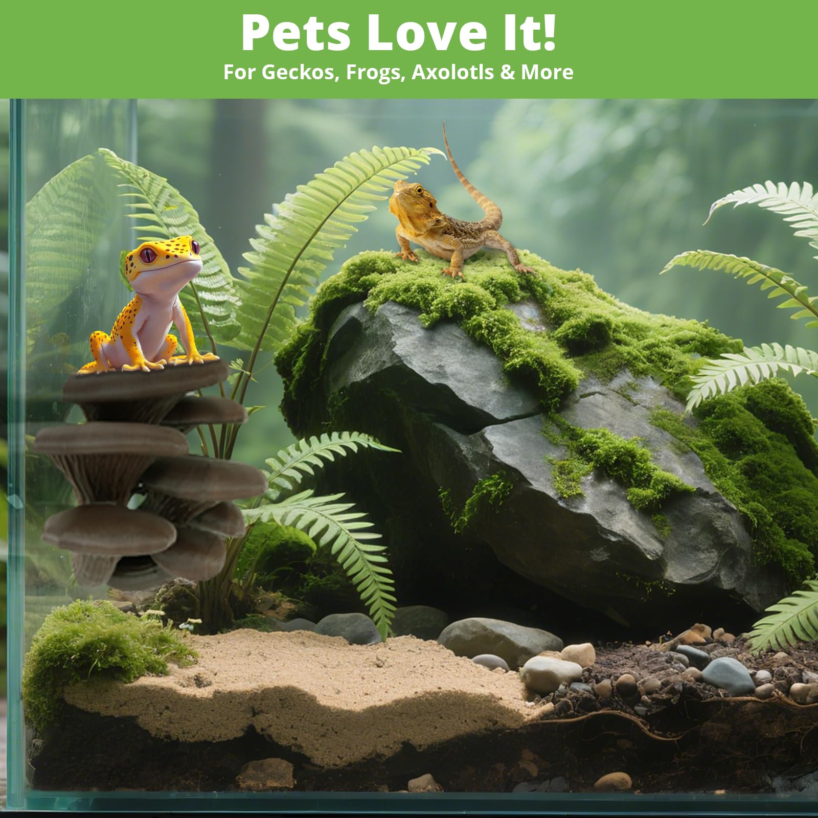 Westant mushroom decor reptile-tank-application suitable for leopard geckos and bearded dragons