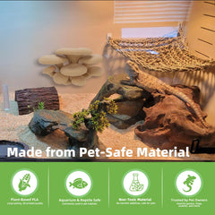Westant mushroom decor stick-pad-install demonstrates easy repositioning