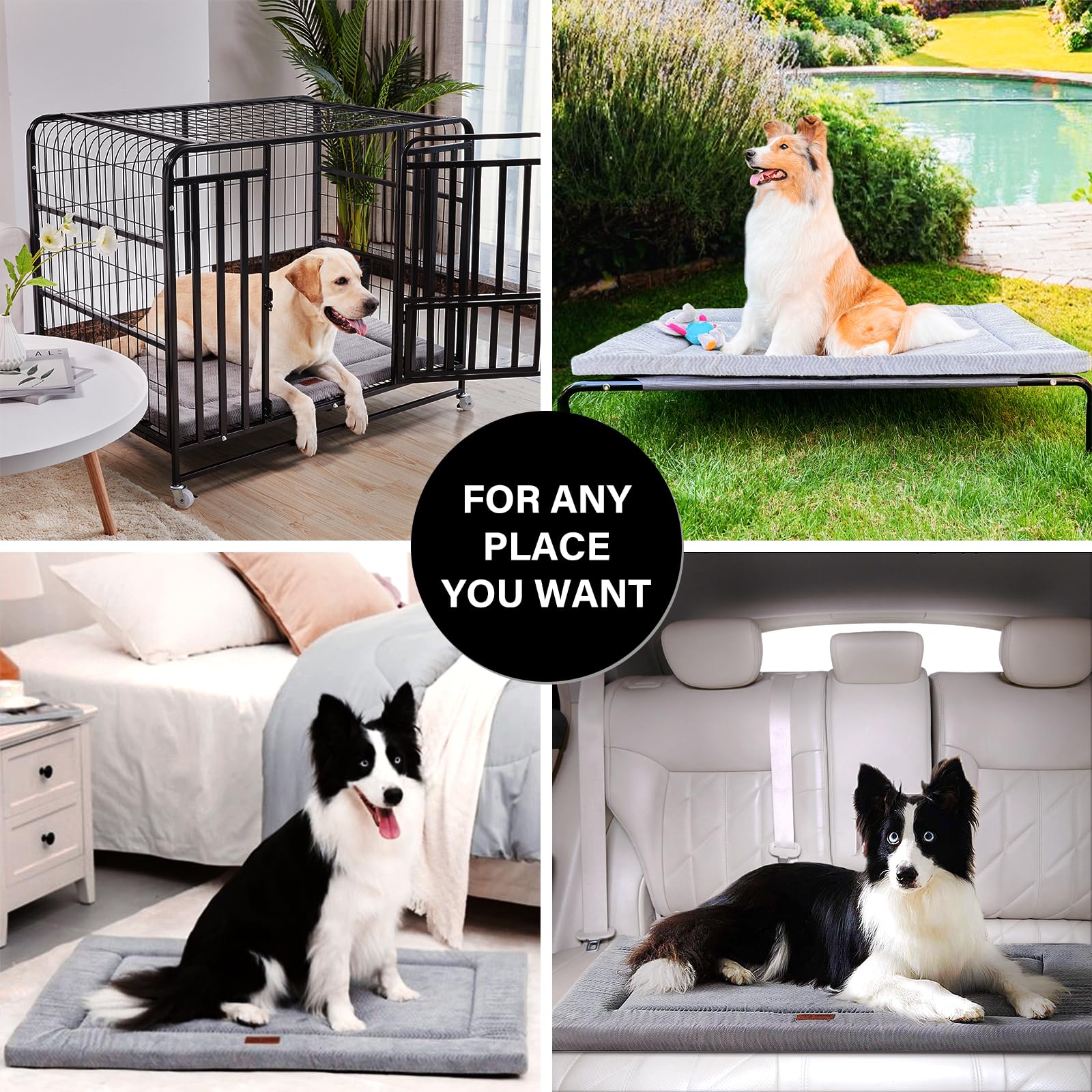WESTERN HOME large dog bed-size-options highlights five sizes for dogs and cats.