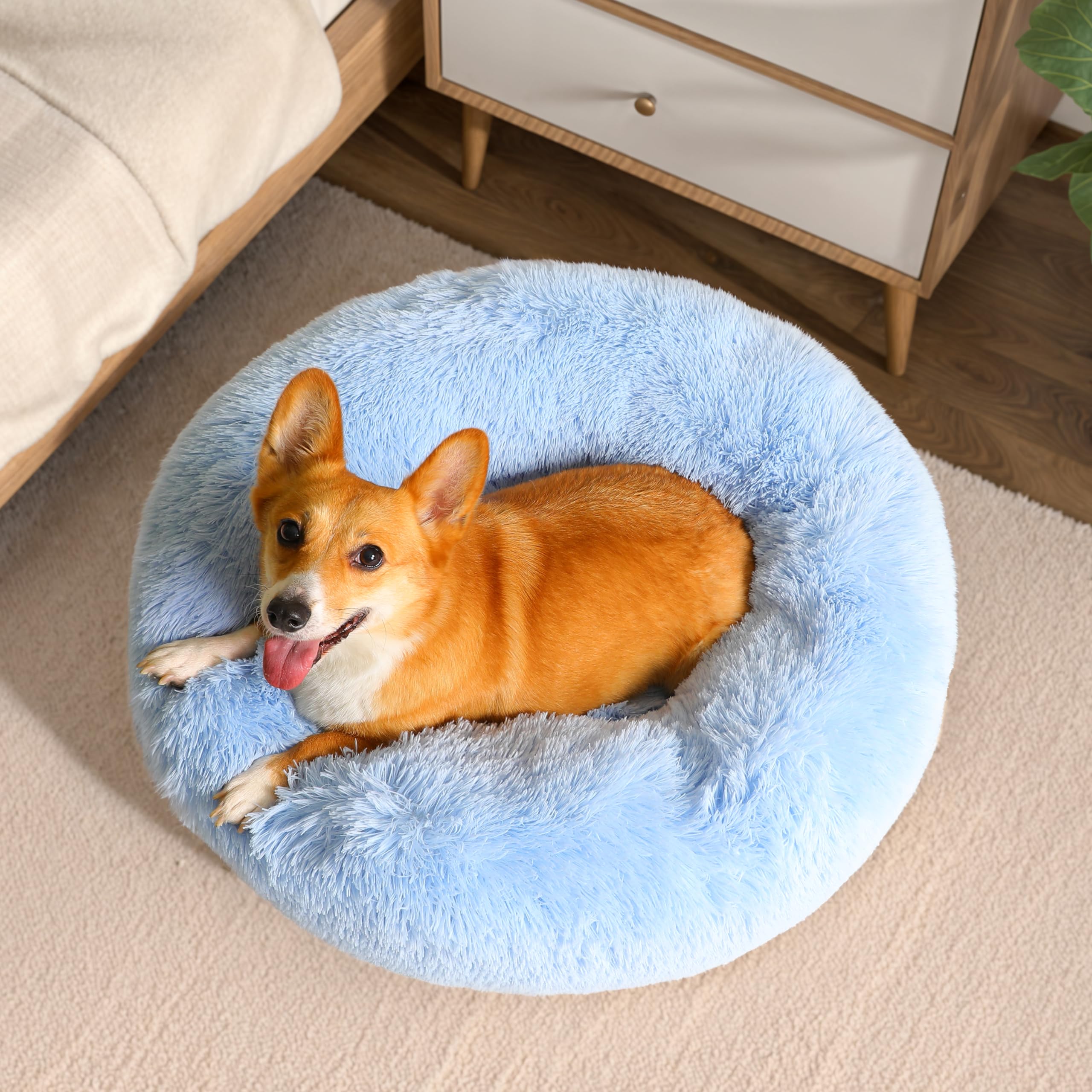 WESTERN HOME WH calming bed anti-slip bottom keeps pets stable during play.