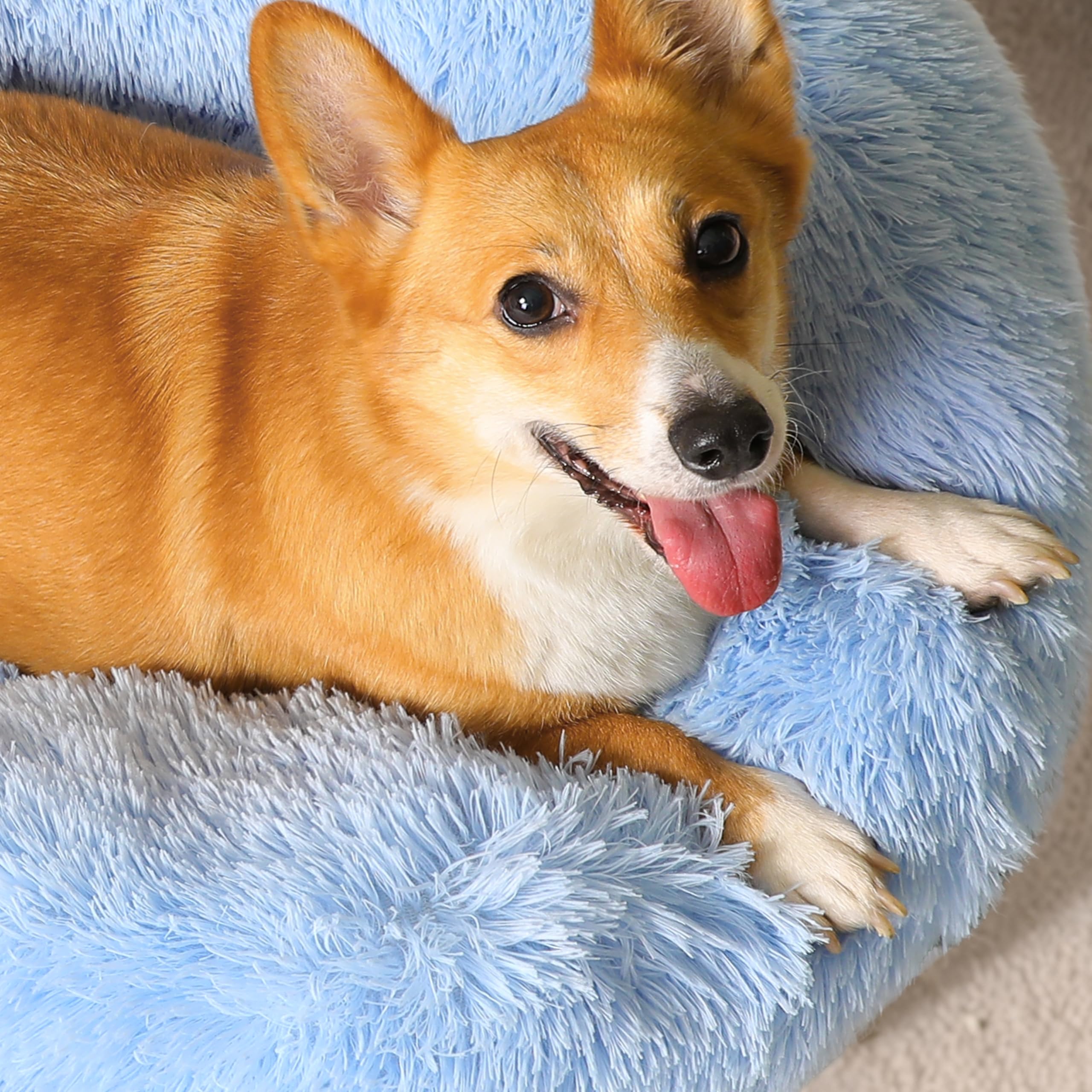 WESTERN HOME WH calming bed machine-washable for easy cleaning after adventures.