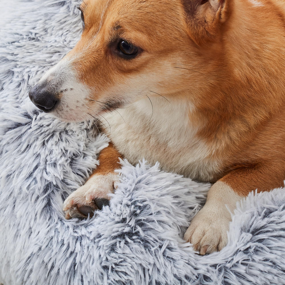 WESTERN HOME WH calming bed 20 inch size fits small pets for cozy naps.