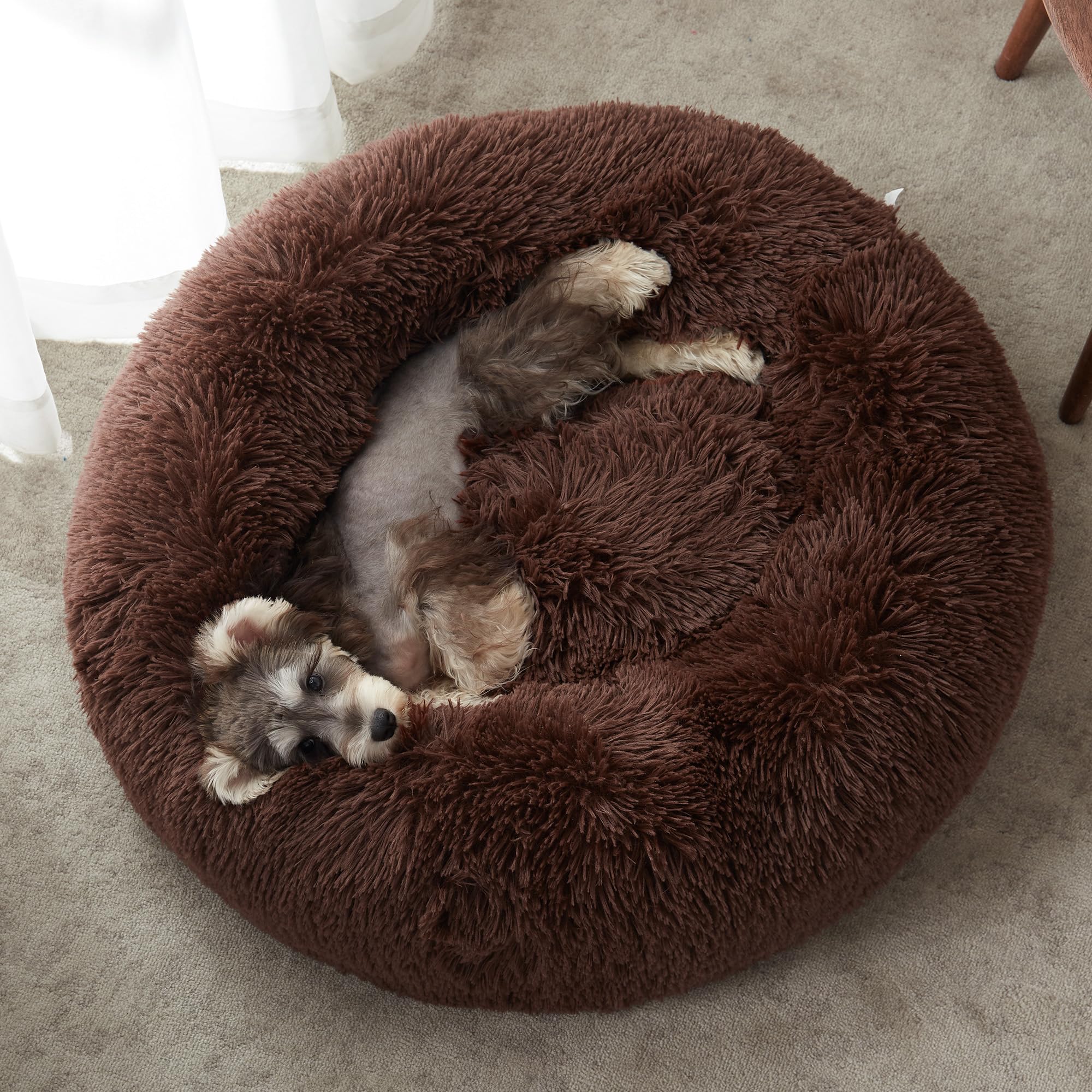 WESTERN HOME WH bed with non-slip bottom keeps pets secure during rest.
