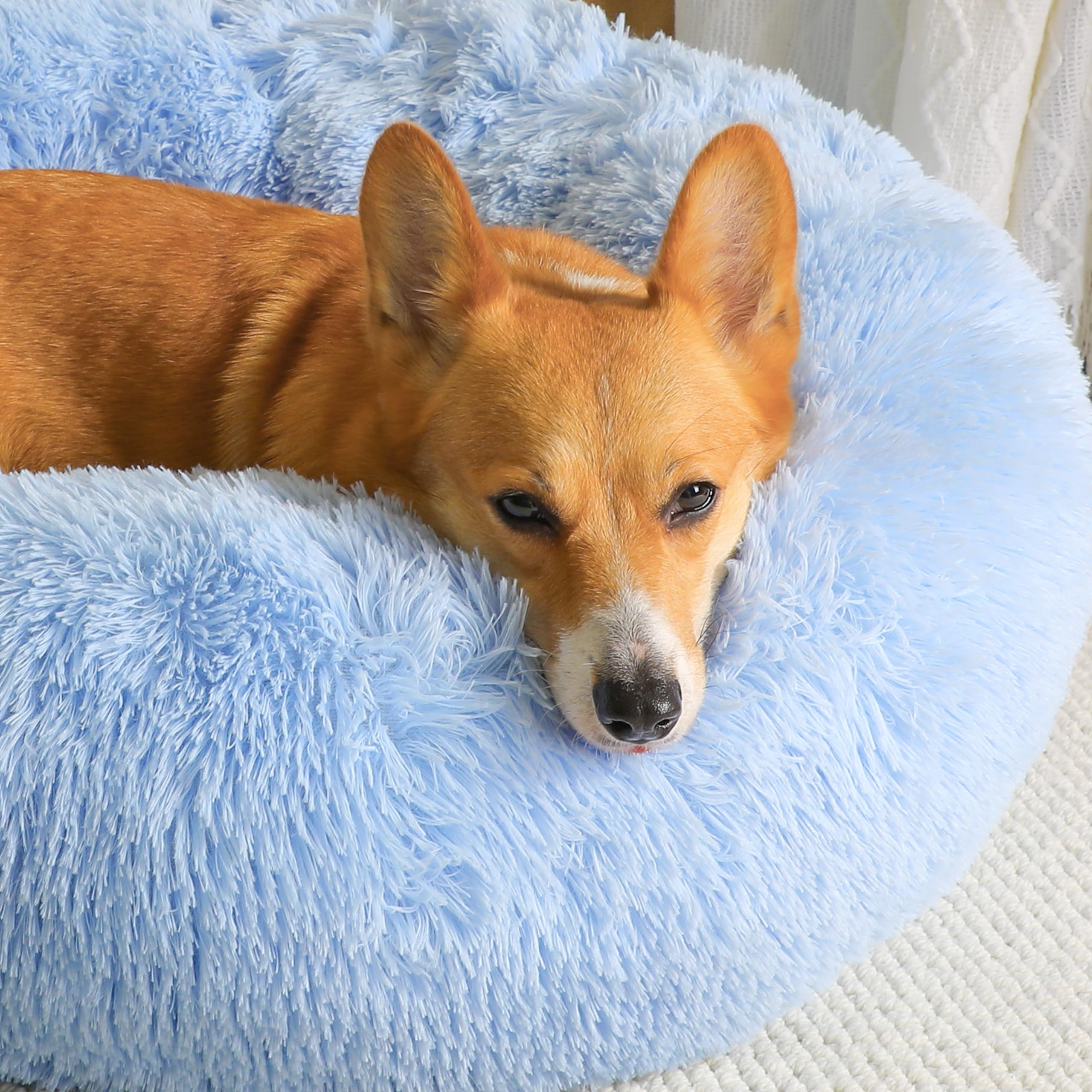 WESTERN HOME WH calming bed round bolster supports curling pets.