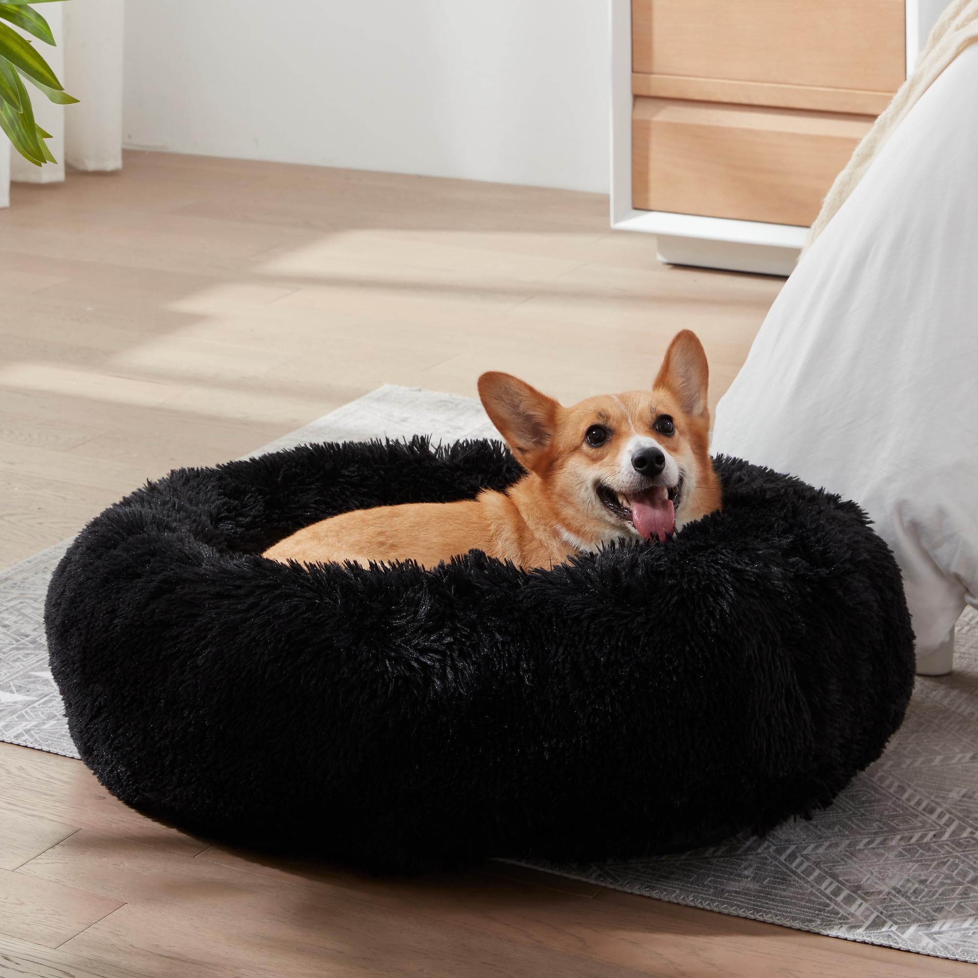 WESTERN HOME WH donut bed anti-slip bottom keeps pet secure during play