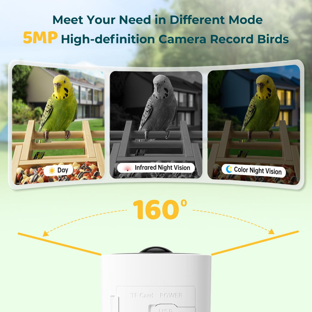 WESTHEY night vision view provides clear 2.5K footage in low light.