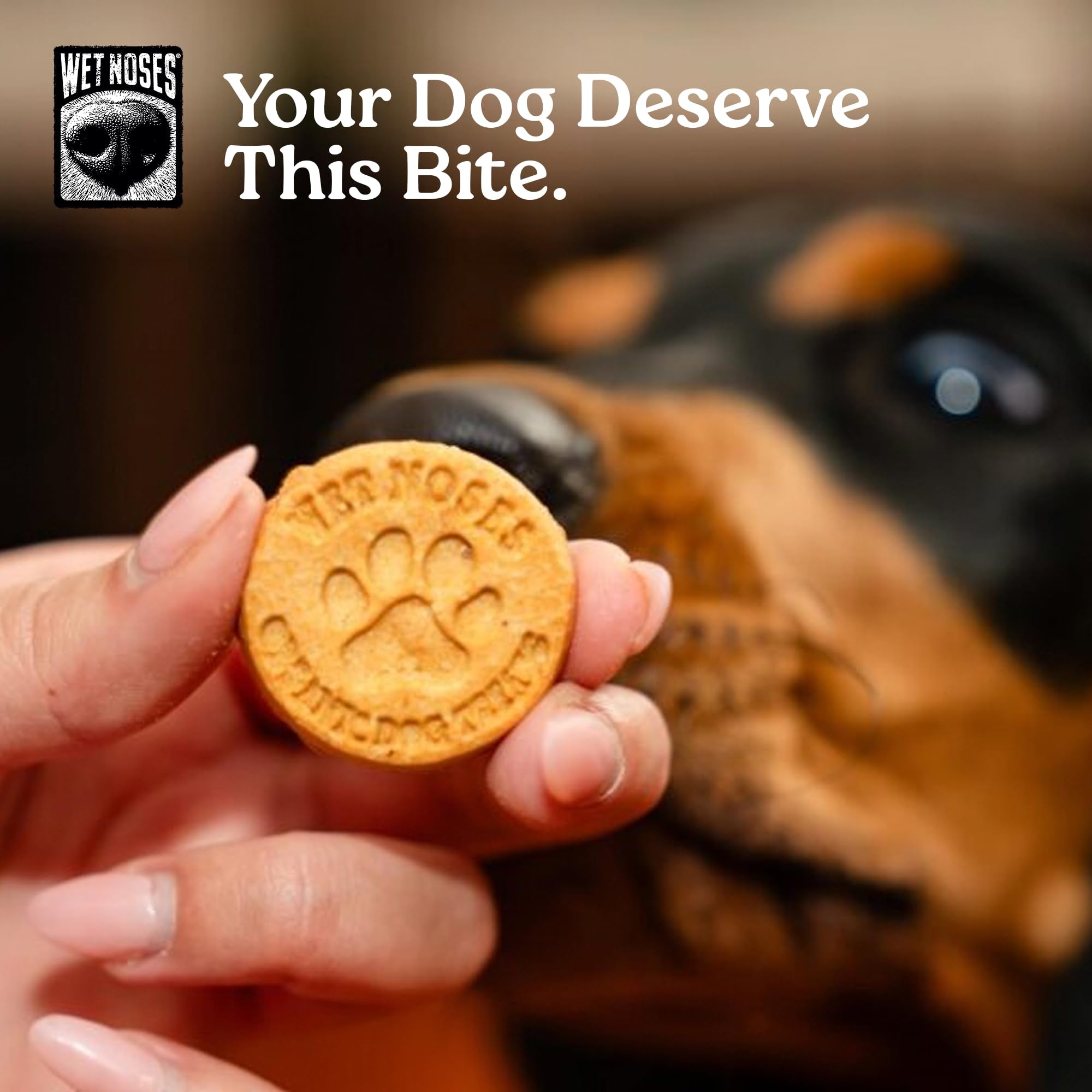 Wet Noses All-Sizes All-Breeds display suggests versatile treats for every furry family member.