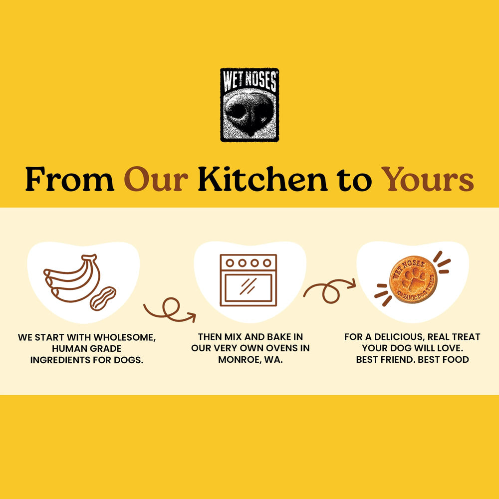 Wet Noses crunchy dental-support treats—helps reduce plaque with daily rewards.