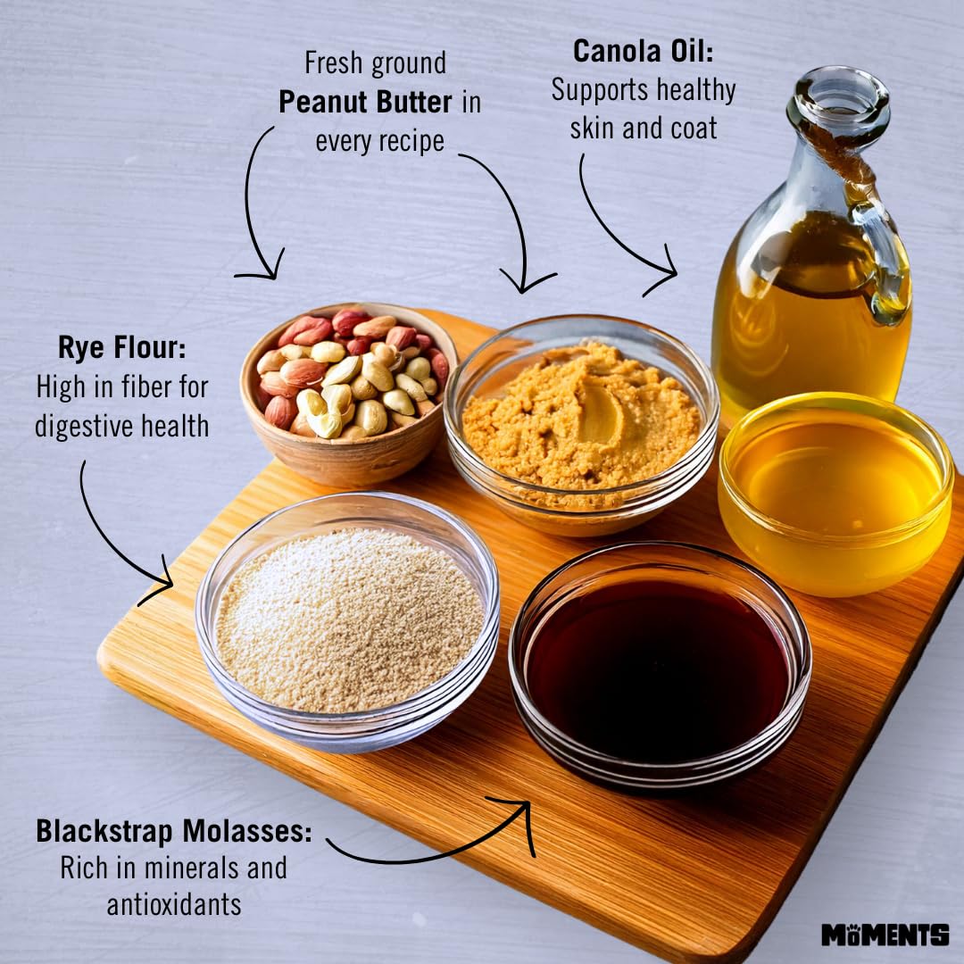 Close-up of the crunchy texture from Wet Noses Moments treats