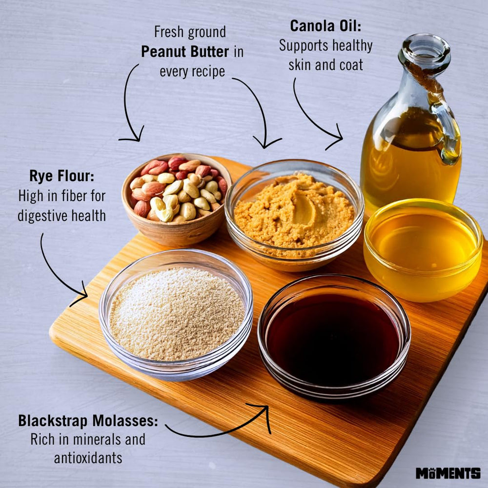 Close-up of the crunchy texture from Wet Noses Moments treats