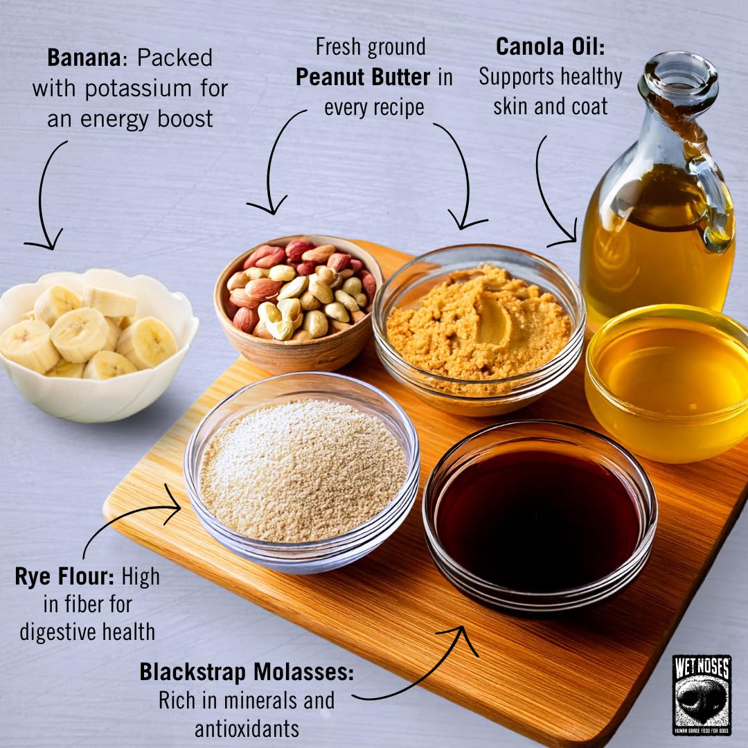 Wet Noses Organic Crunchy Dog Treats grain-free formula for dogs with sensitivities.