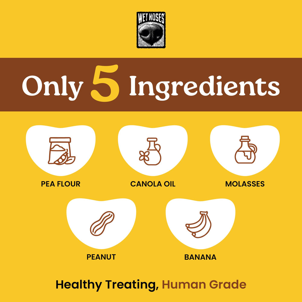 Wet Noses bag back label shows non-GMO ingredients and USA-made quality.