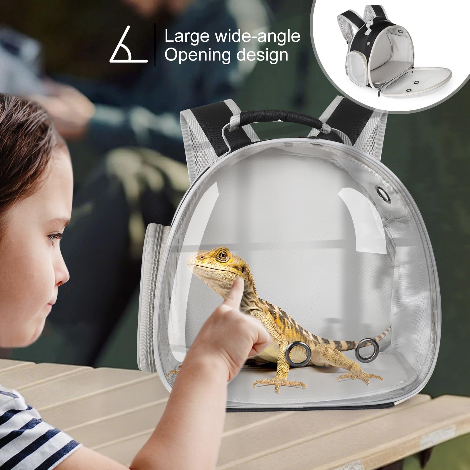 WEVONIGU airline approved reptile carrier for flights