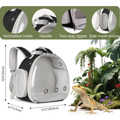 WEVONIGU harness and leash set keeps beardie secure during outdoor trips