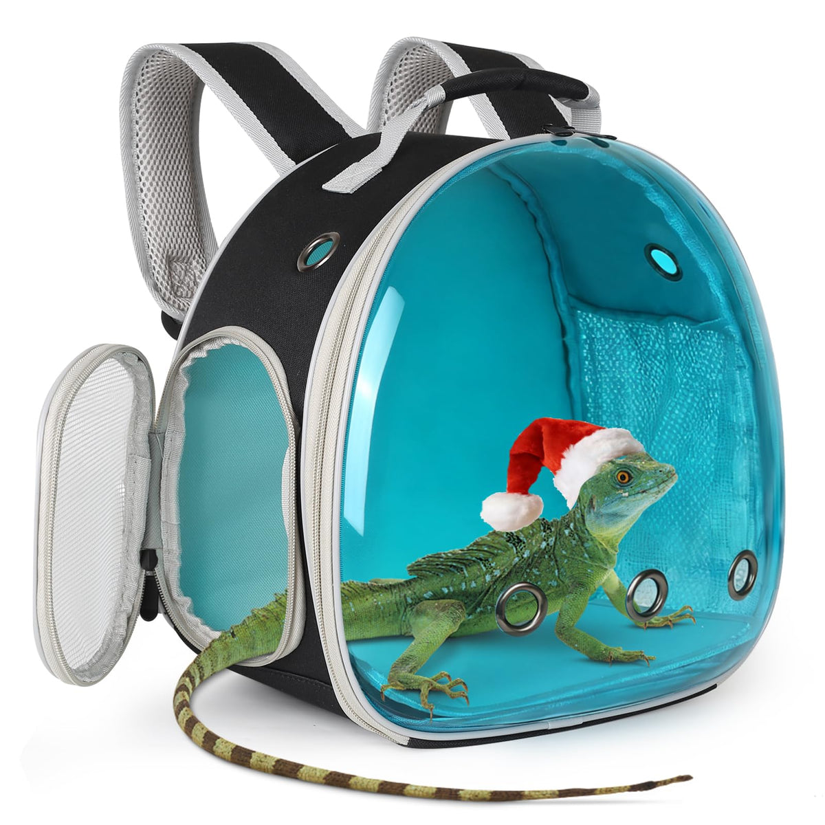 WEVONIGU guinea pig carrier bubble window backpack in black blue for safe outdoor transport