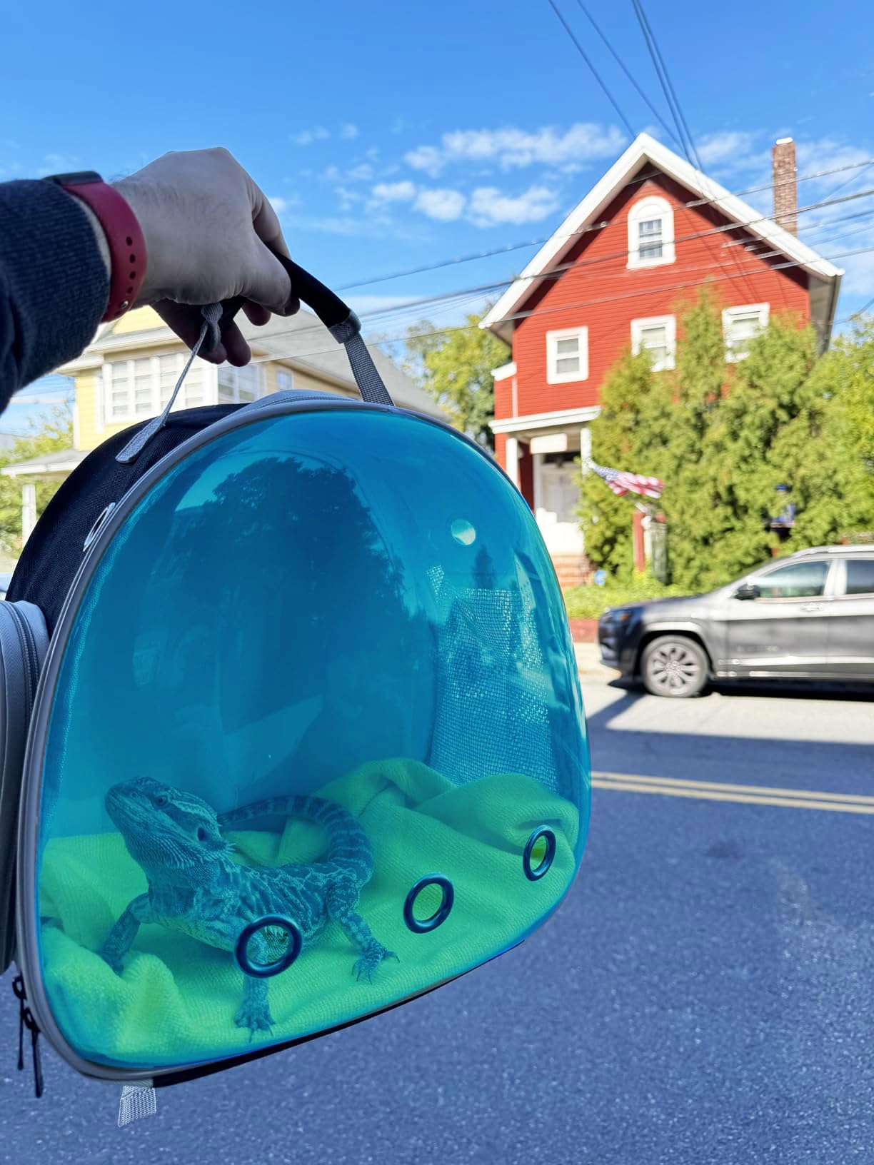 WEVONIGU guinea pig carrier anti-scratch mesh side pocket for gear storage