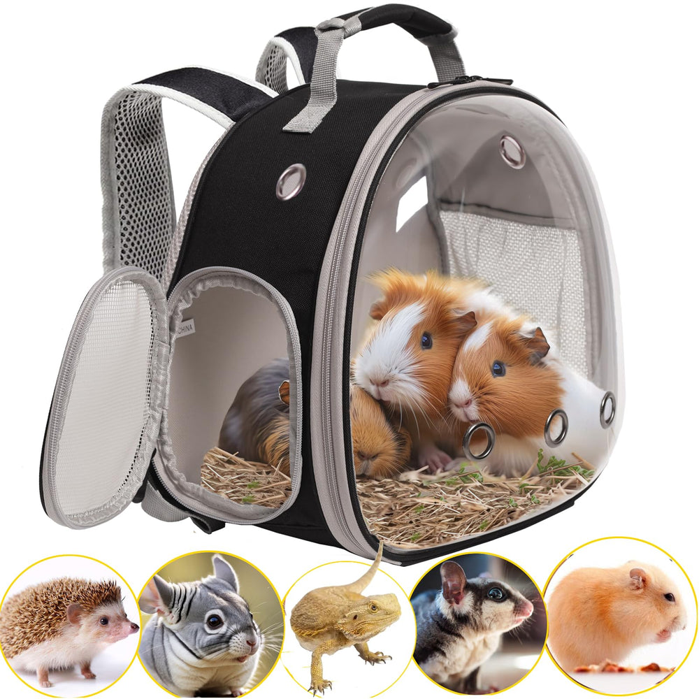 WEVONIGU side-entry pet backpack for easy access during travel