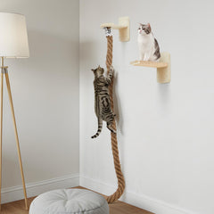 Weysat wall-mounted cat tree base in wood provides sturdy climbing support for active cats.