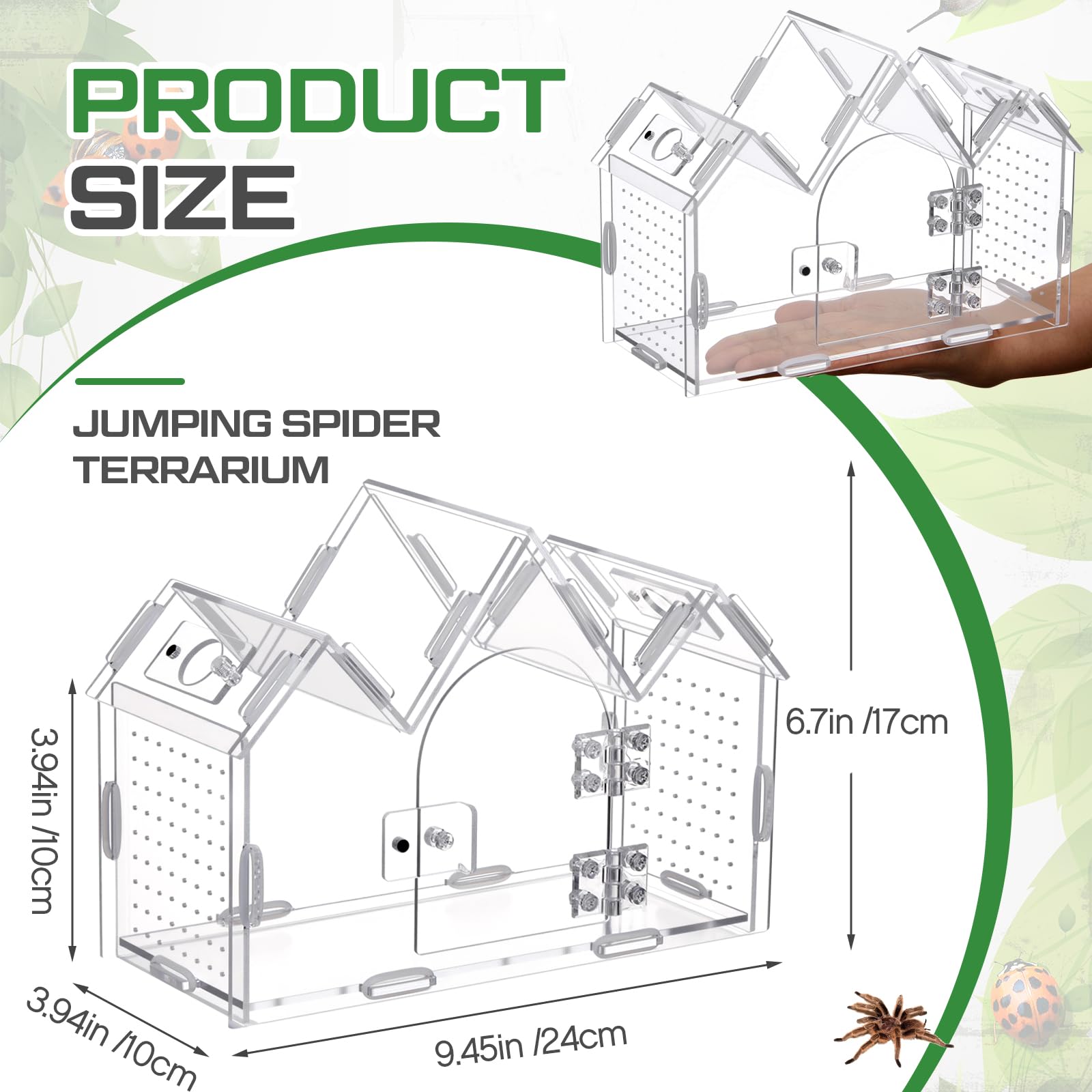 Weysat jumping spider enclosure side view highlights slim footprint and compact profile
