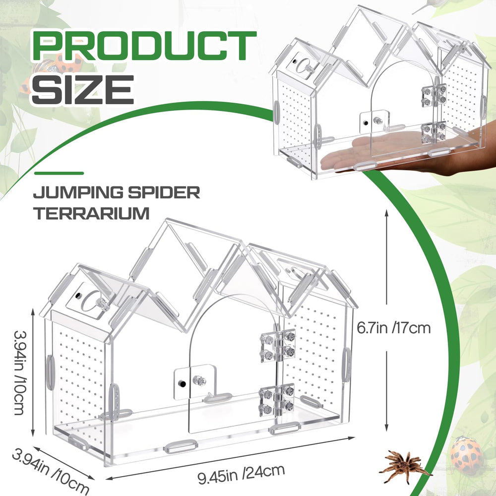 Weysat jumping spider enclosure side view highlights slim footprint and compact profile