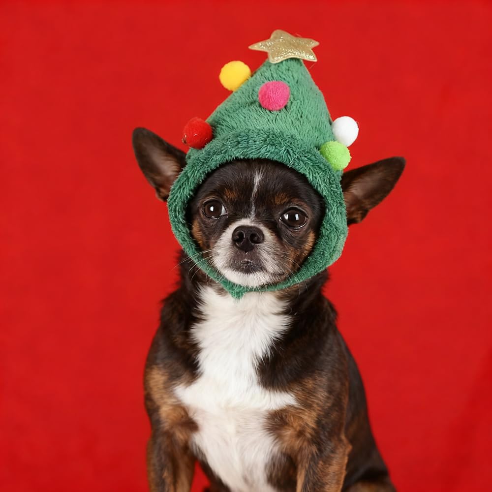 Wgudzpj pet Santa hat ideal for cats and small dogs.
