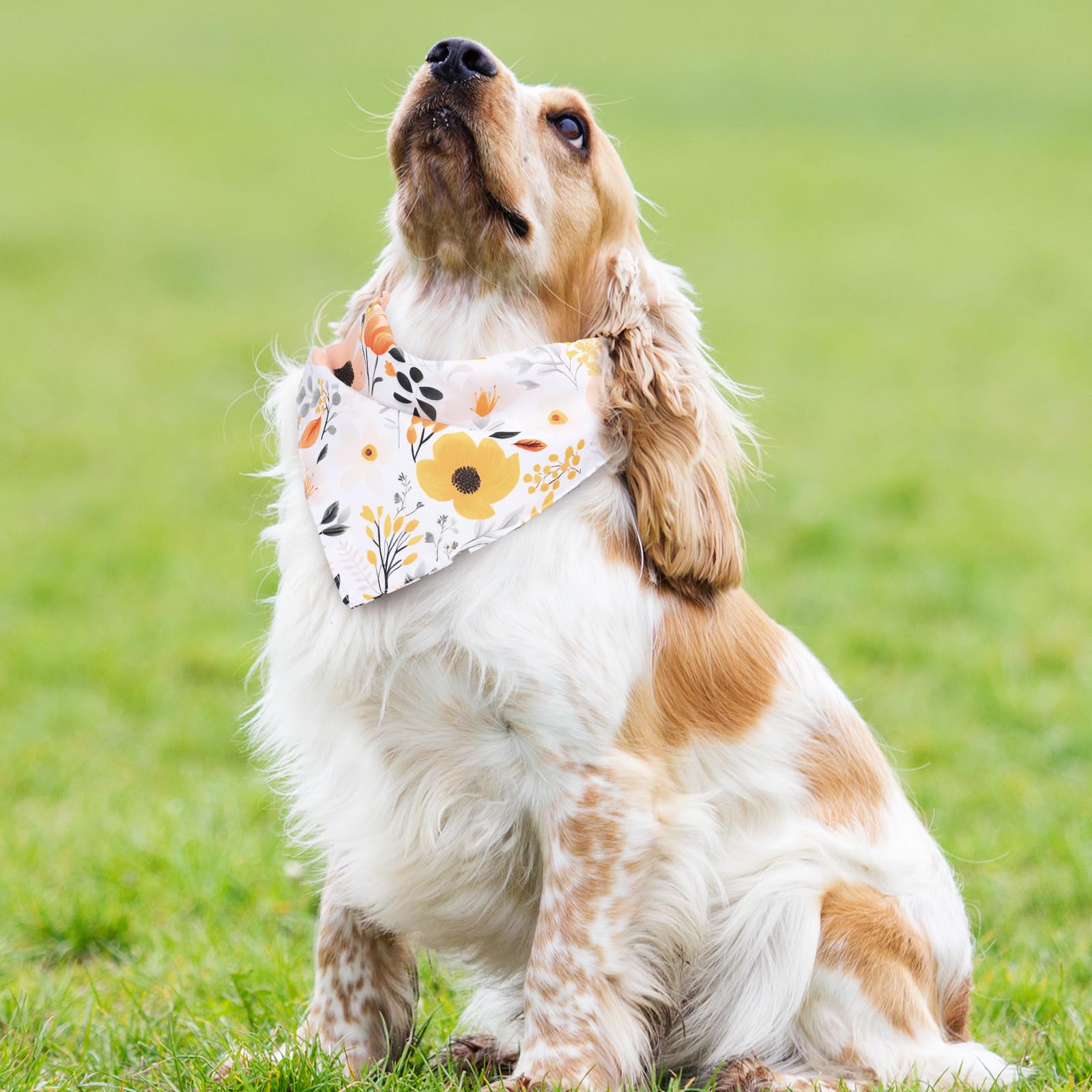 Whaline bandana size 27.2x13.4 inches fits most pets