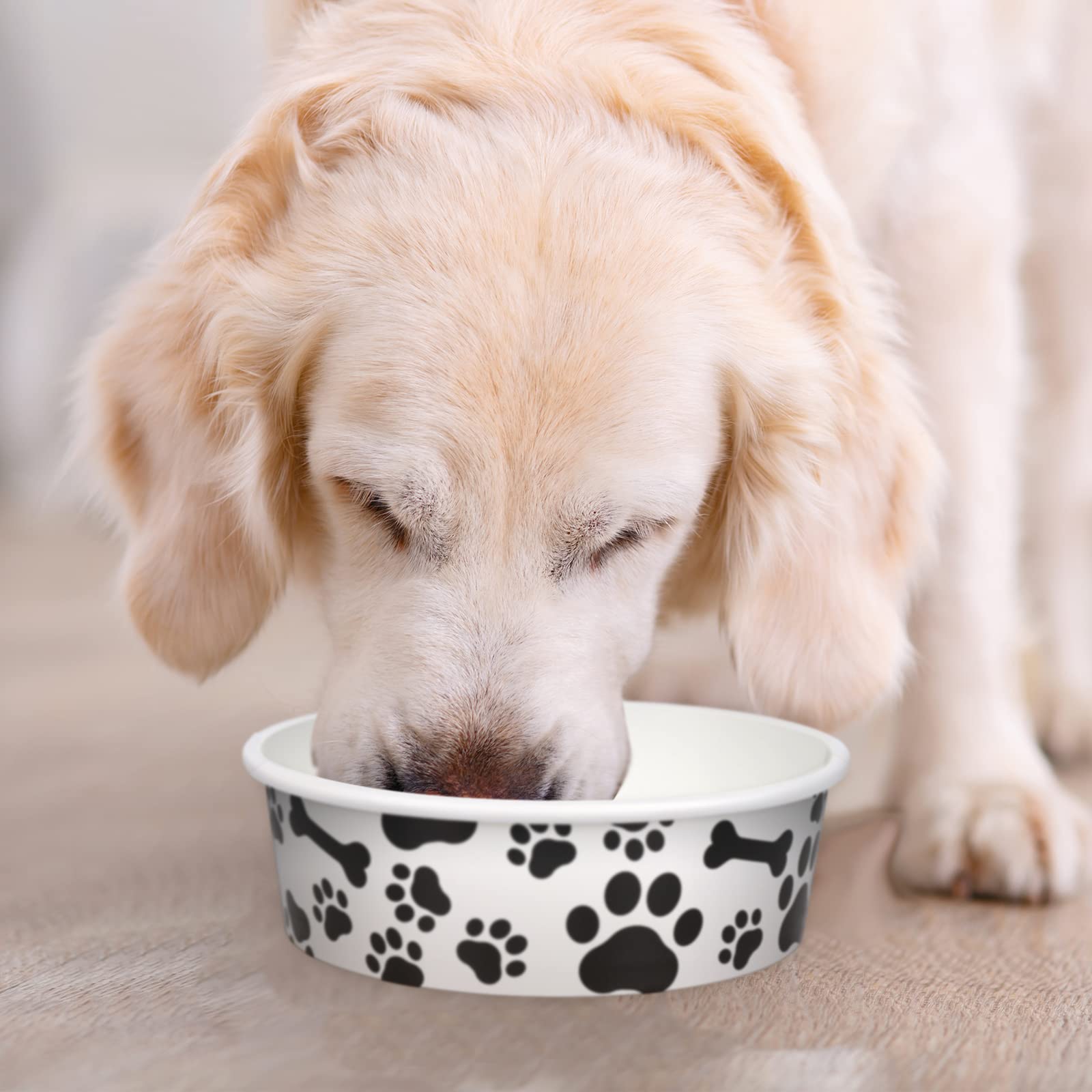 Whaline 16oz capacity supports wet food or water for puppies, kittens, and small dogs.