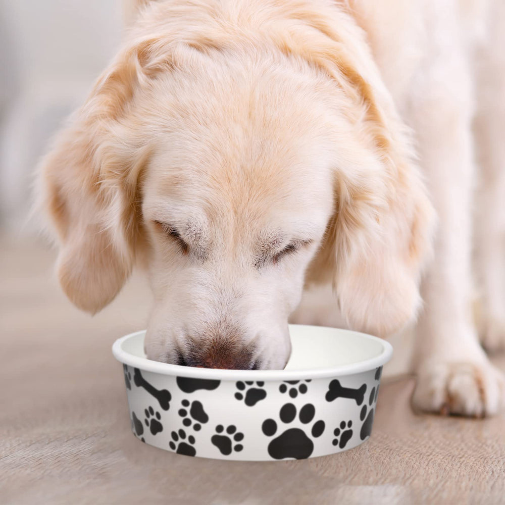 Whaline 16oz capacity supports wet food or water for puppies, kittens, and small dogs.