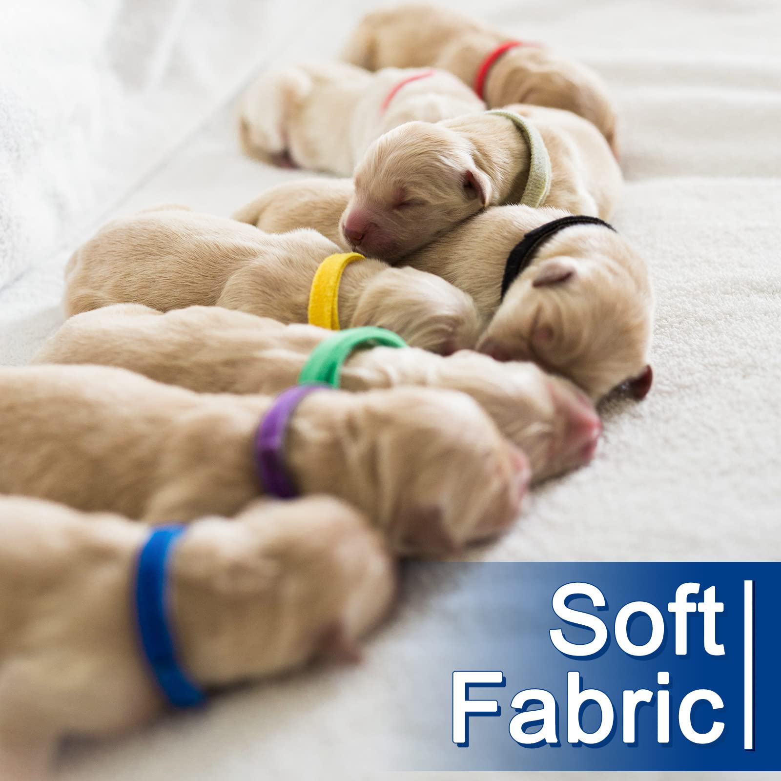 Whaline puppy-neck-fit demo illustrates secure fastening without restricting movement.