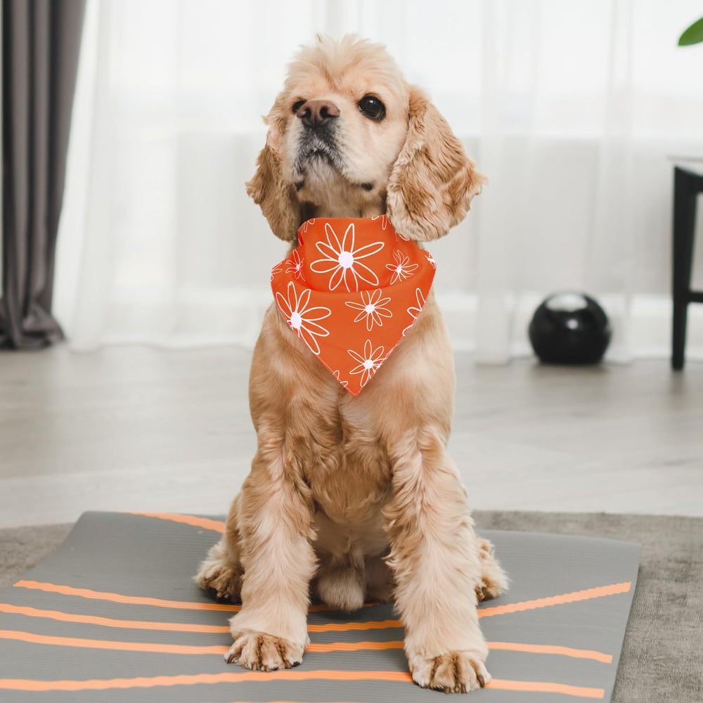 Whaline spring-summer pet bandana for everyday photos