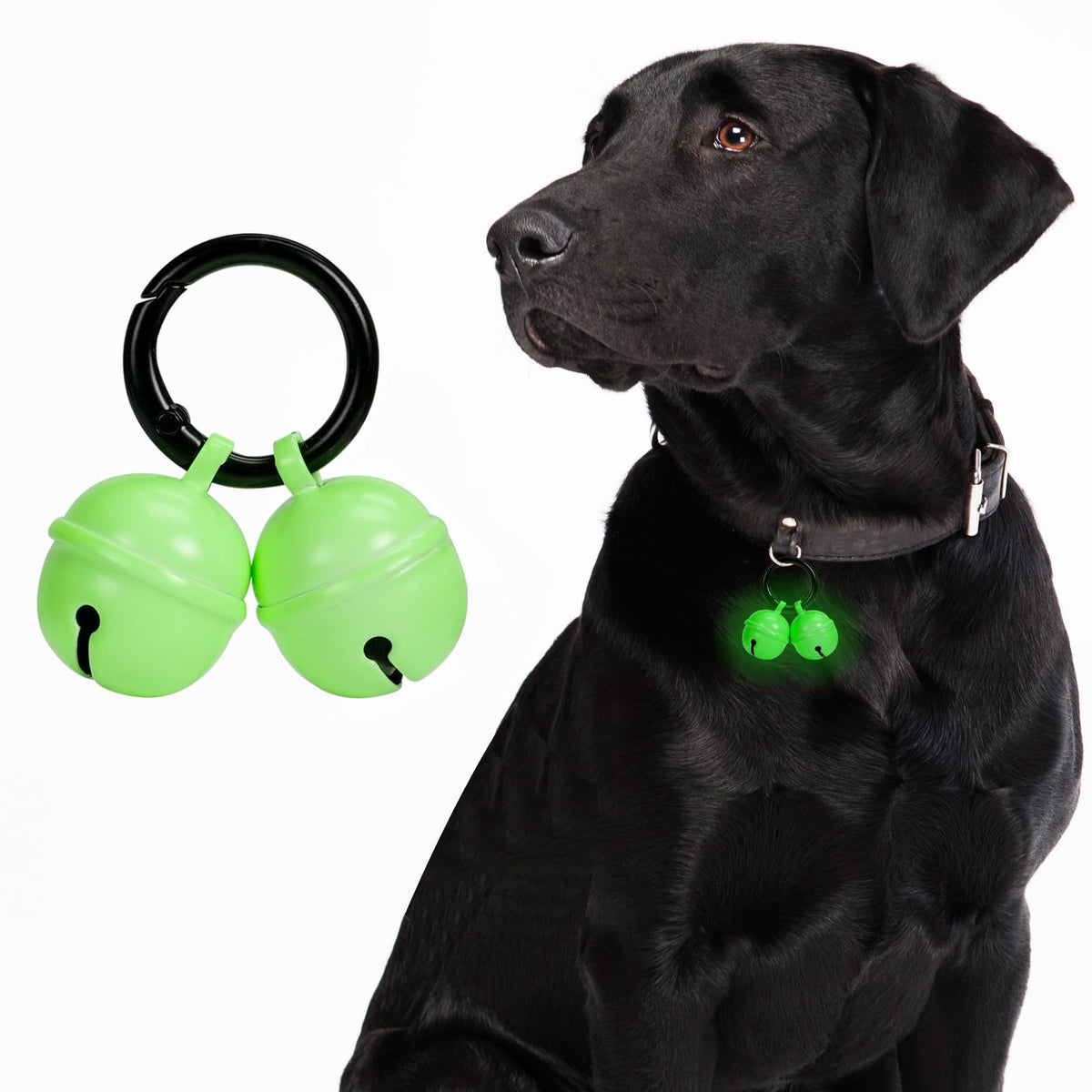 Whimsii Bells glow on dog collar for nighttime visibility and tracking.