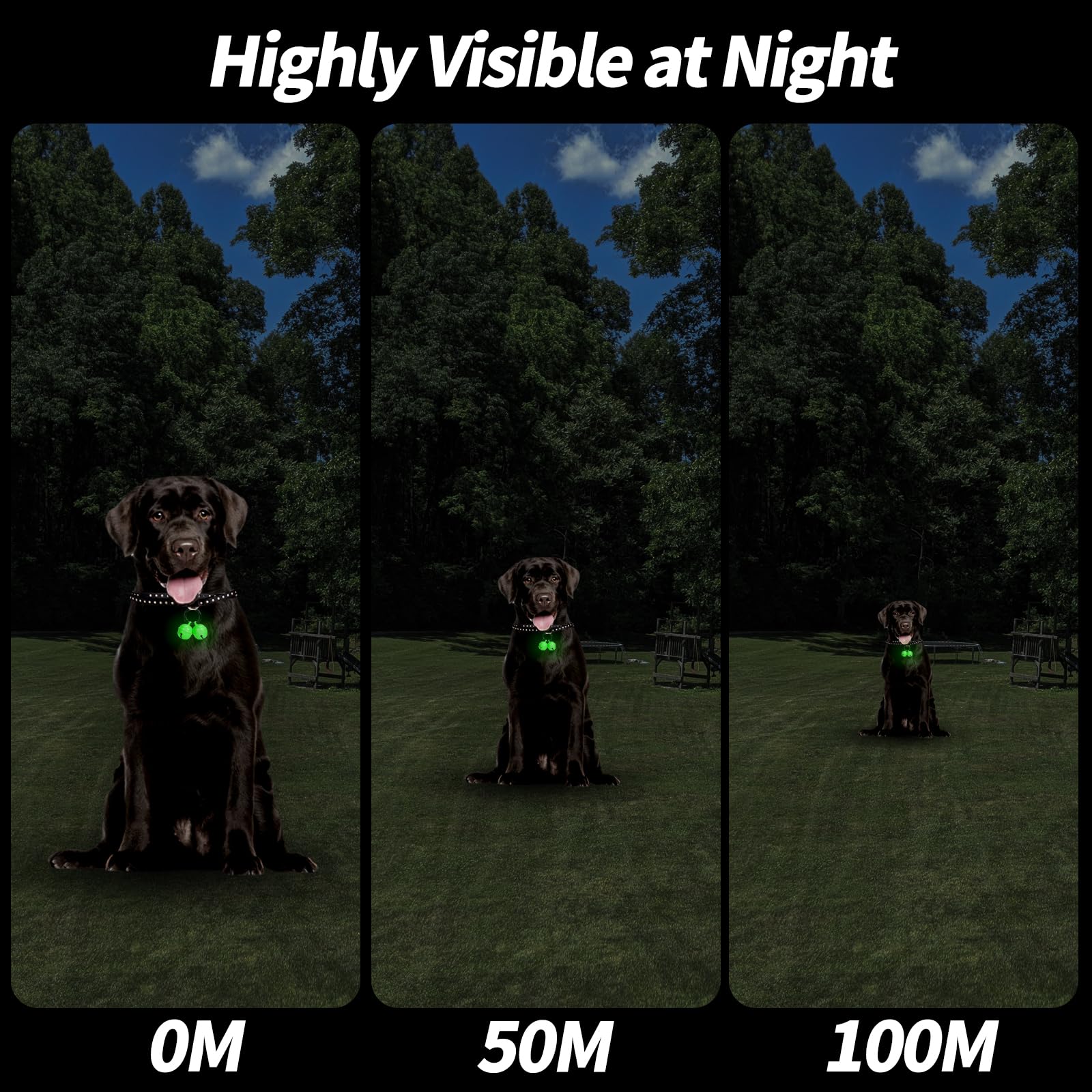 Whimsii Bells pet-tracker night image helps locate pets after dark.