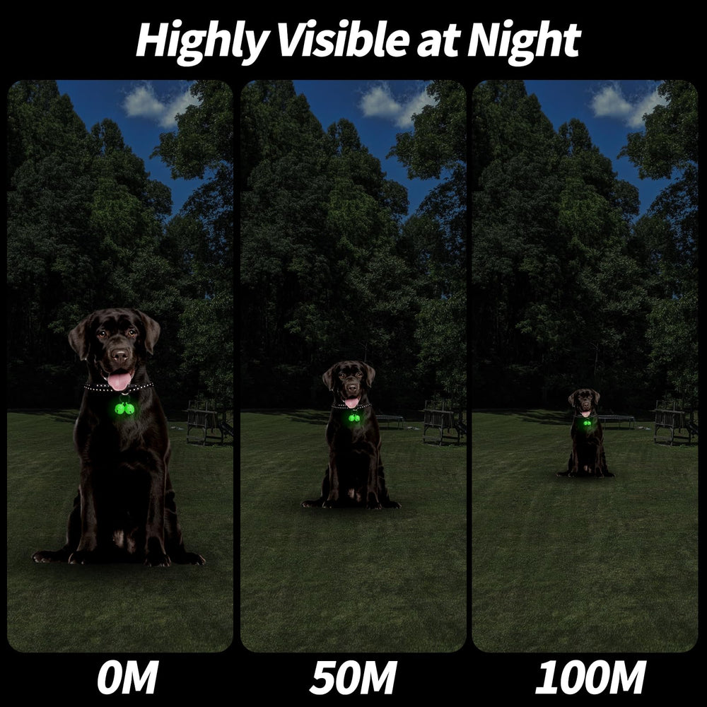 Whimsii Bells pet-tracker night image helps locate pets after dark.