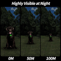 Whimsii Bells pet-tracker night image helps locate pets after dark.