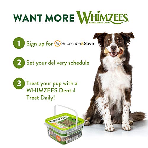 Whimzees Wellness Variety Pack after-meal chew time visualizes breath-freshening routine.