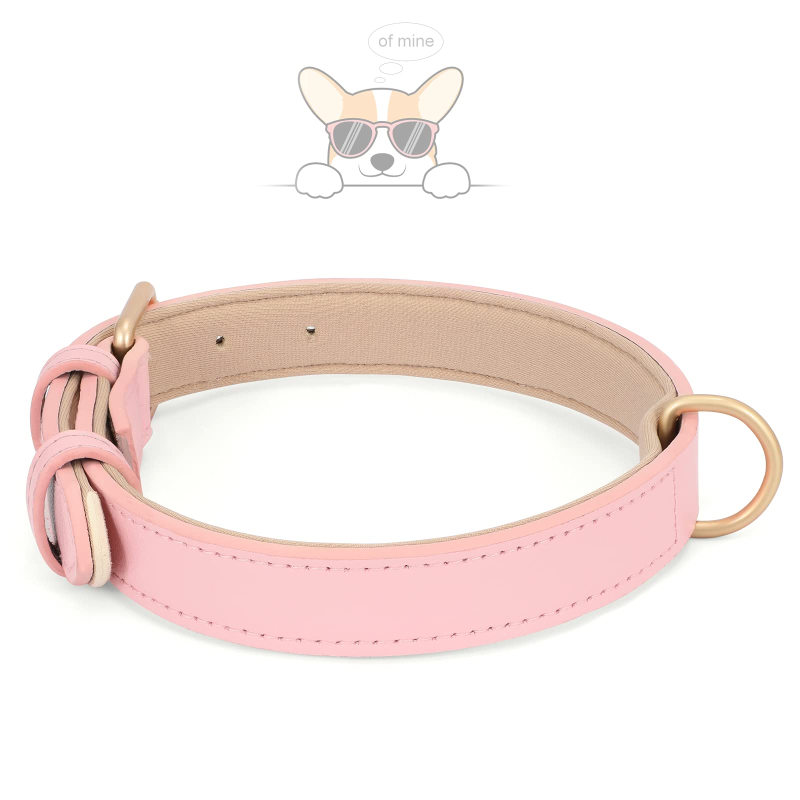 WHIPPY Airtag leather dog collar pink XS D-ring closeup for secure leash