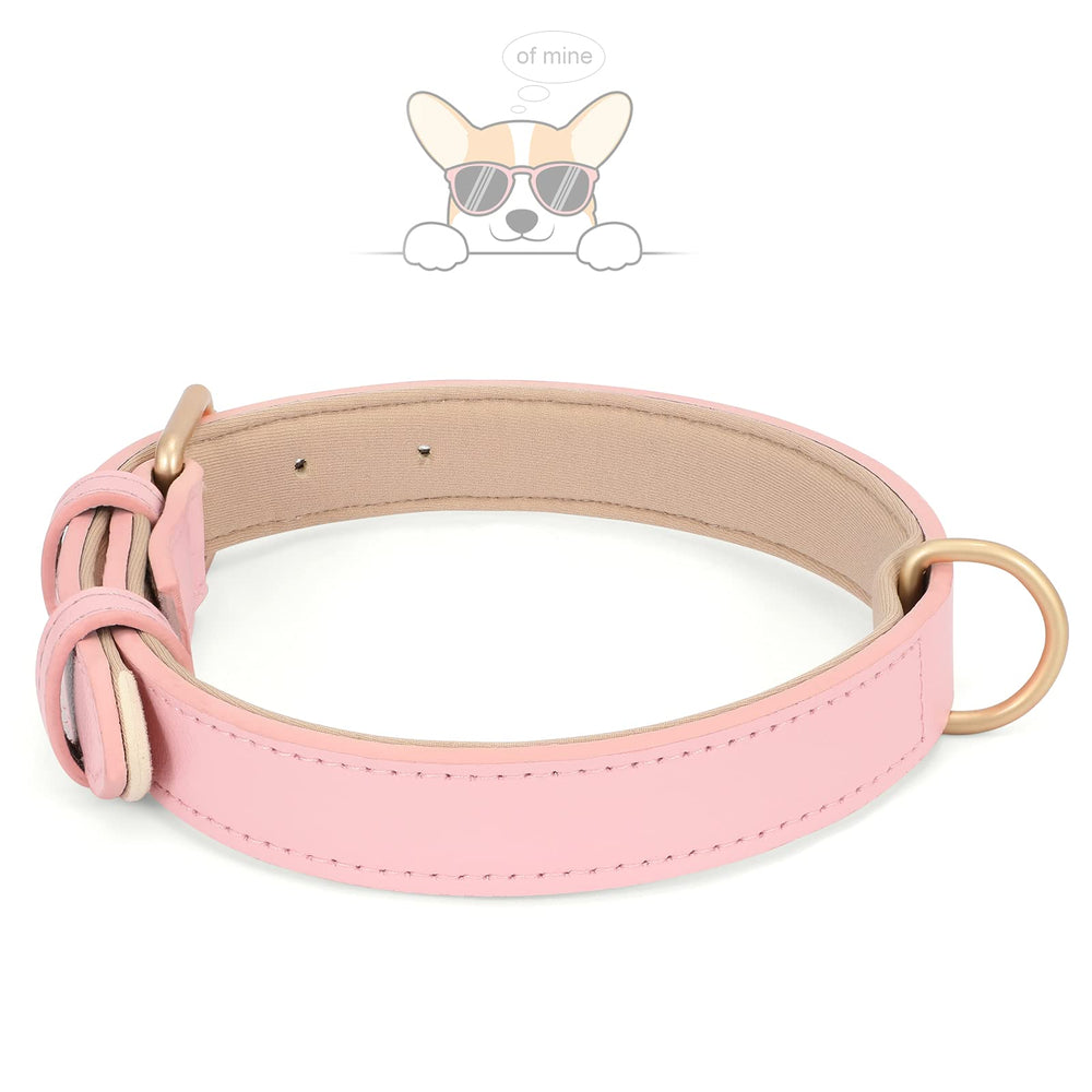 WHIPPY Airtag leather dog collar pink XS D-ring closeup for secure leash