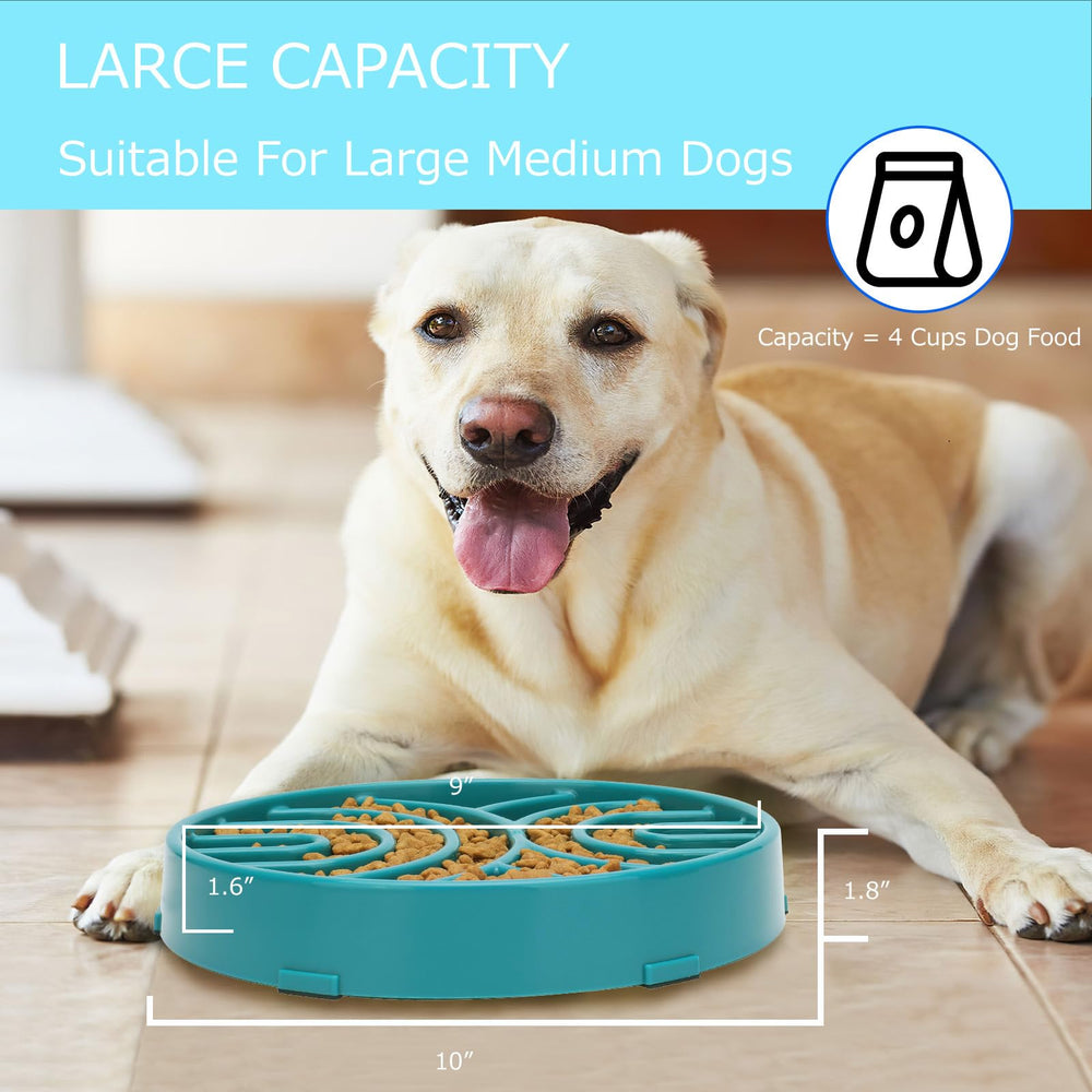 WHIPPY slow feeder bowl for large dogs underlines practical feeding solution