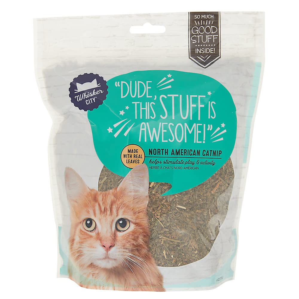 Whisker City catnip North American leaf closeup invites play with natural scent