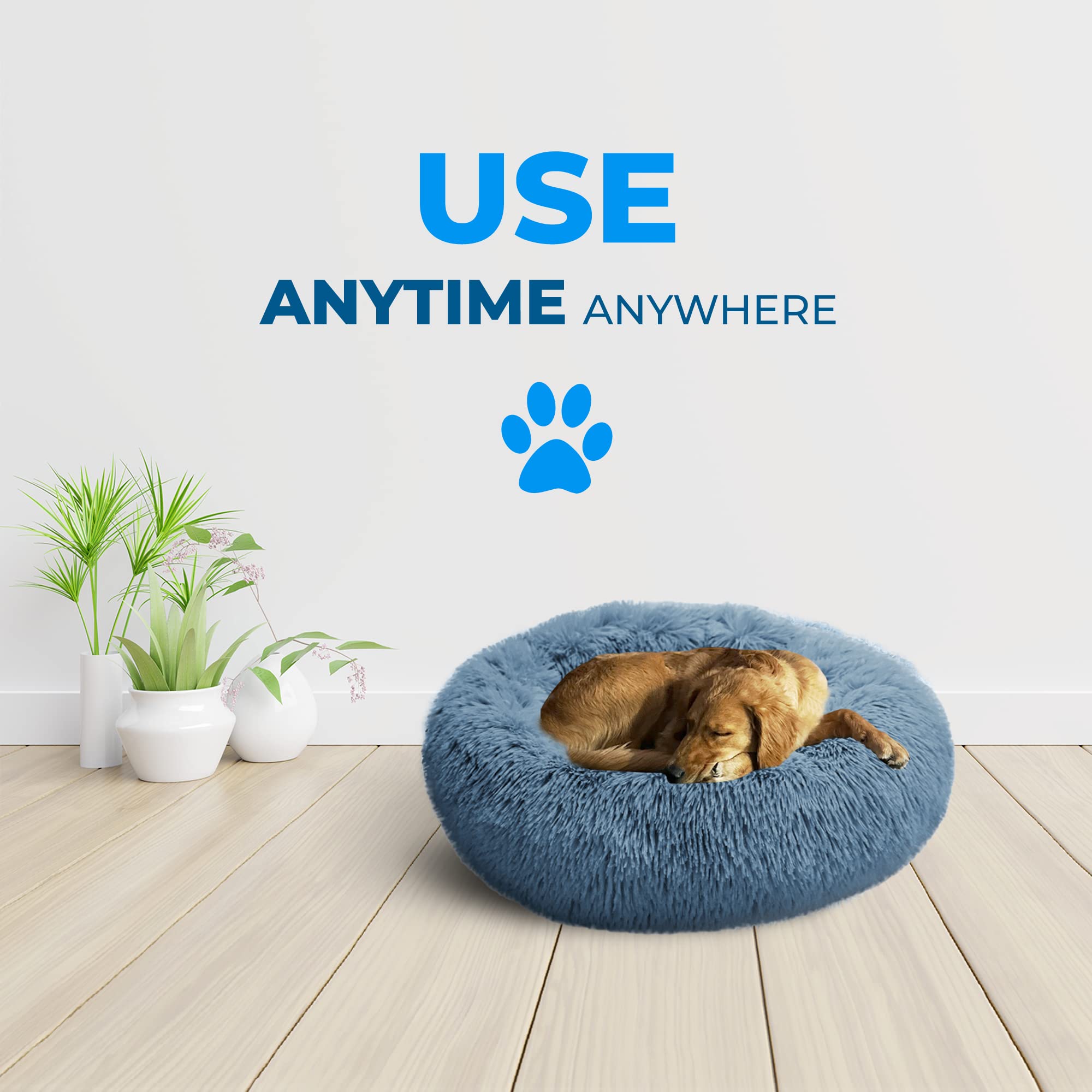 Whiskers & Friends dog bed in living space suitable for small to medium dogs up to 45 pounds.