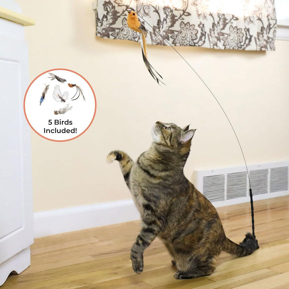 Whiskertons bird toy bells feathers add audible excitement during hunts