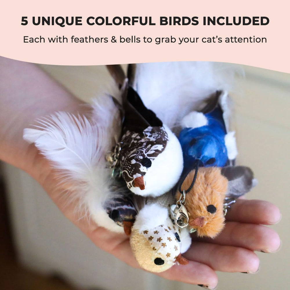 Whiskertons five-bird replacement pack offers variety to sustain curiosity and exercise