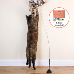 Whiskertons Interactive Bird Toy Set—feathers and bells stimulate hunting instincts
