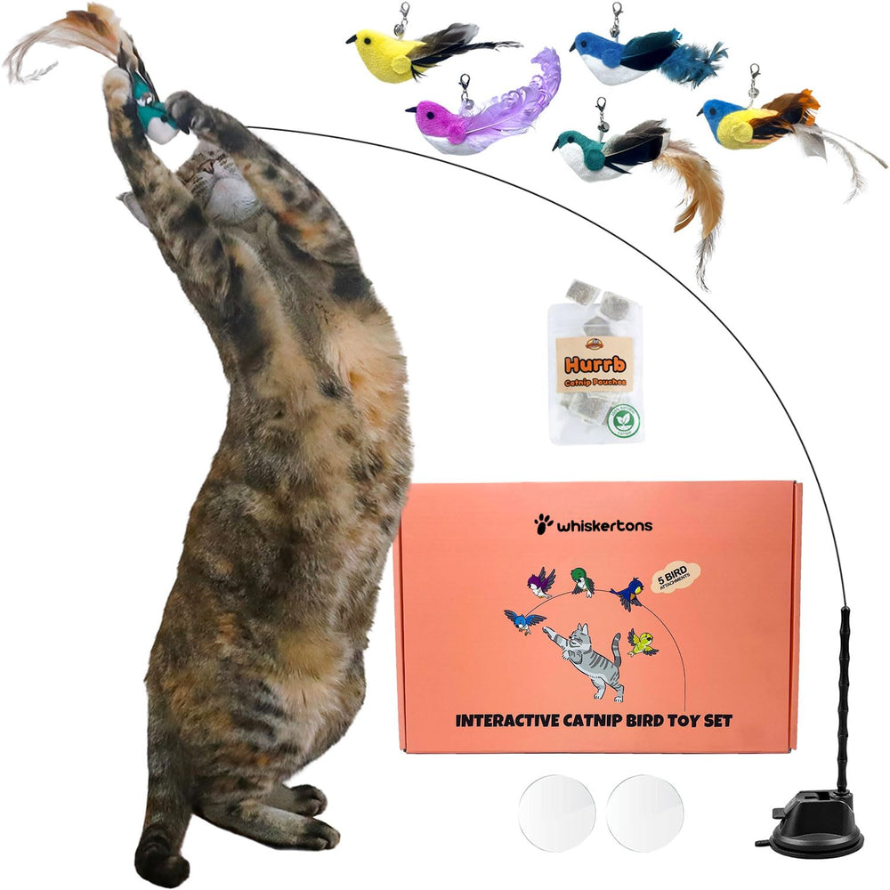 Whiskertons Interactive Bird Toy Set—bird impression fuels curiosity and daily exercise