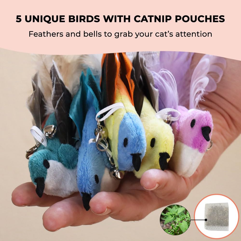 Whiskertons Interactive Bird Toy Set—five catnip birds invite extended play