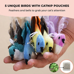 Whiskertons Interactive Bird Toy Set—five catnip birds invite extended play