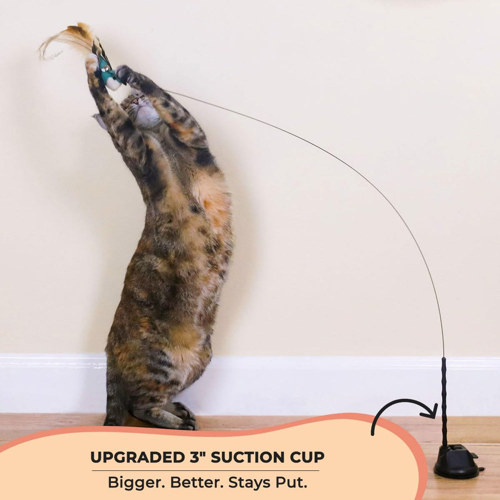 Whiskertons Interactive Bird Toy Set—suction cup mount enables hands-free play
